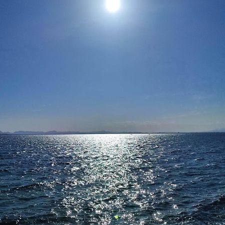 Apartamento Cerca De La Playa La Mata La Mata  Pokoj fotografie